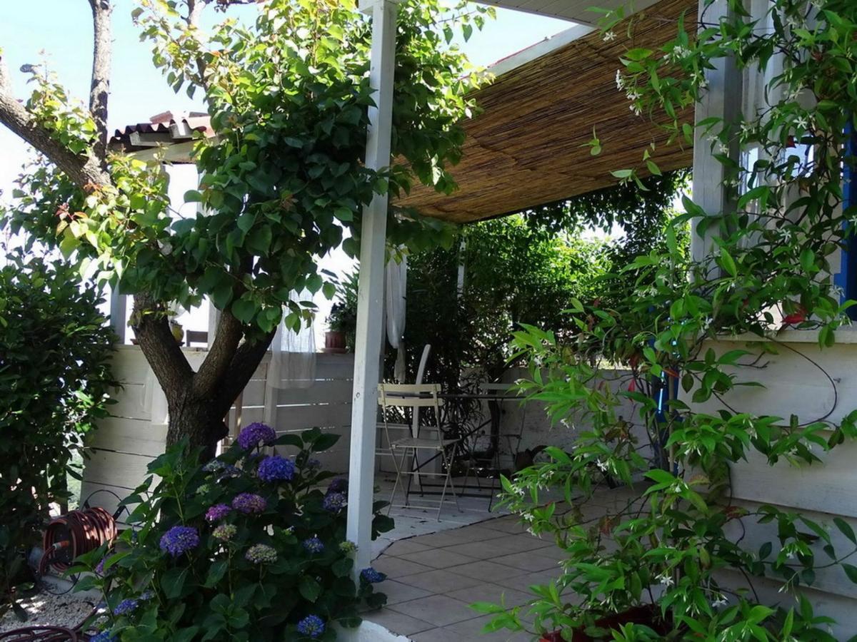 Casa Pentone Villa Cervione Exterior photo